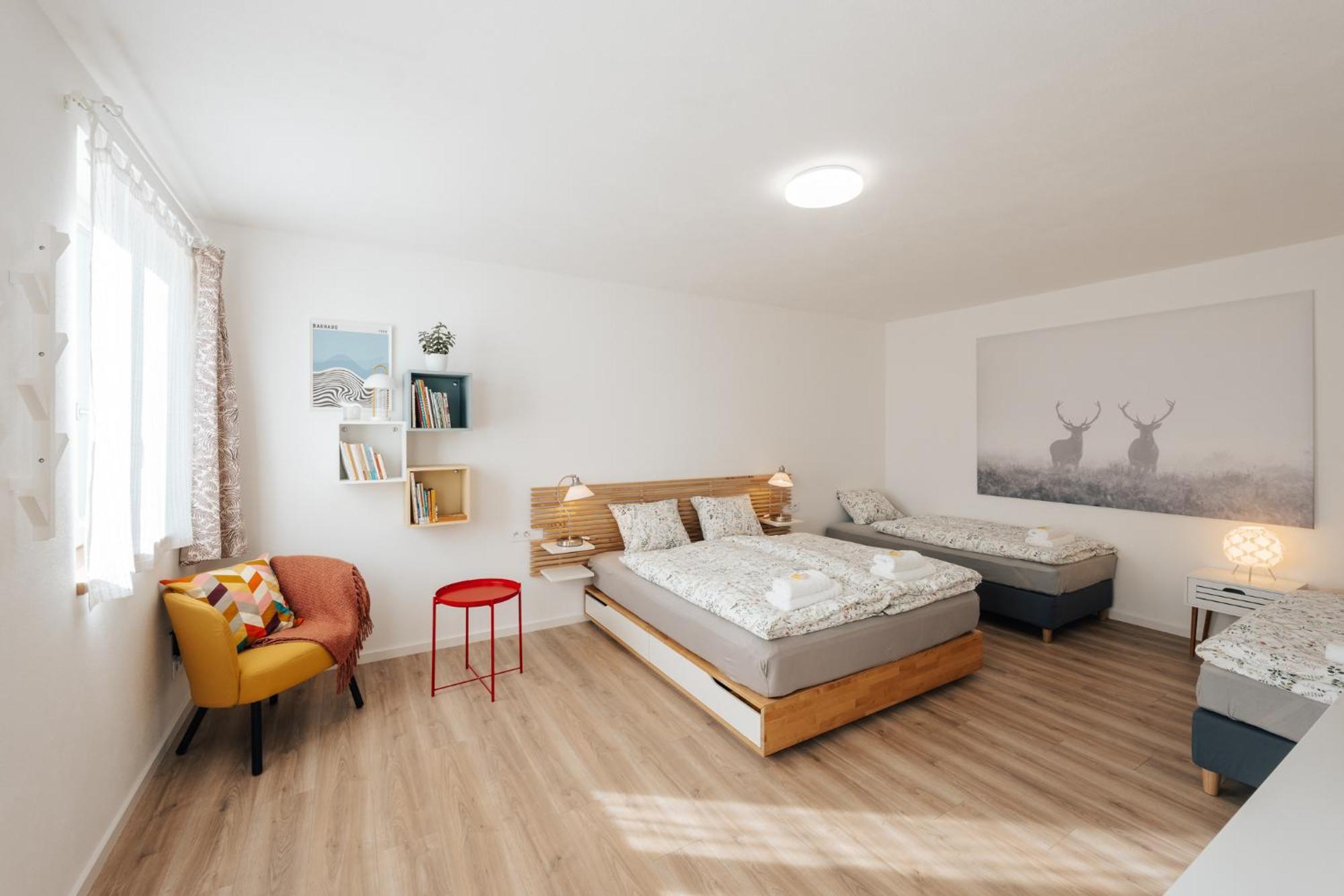 Apartment U Zamku - By the castle *